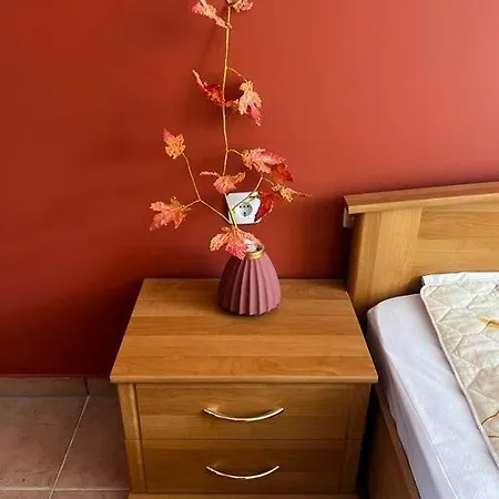 Summer Dreams Apartamento Sunny Beach